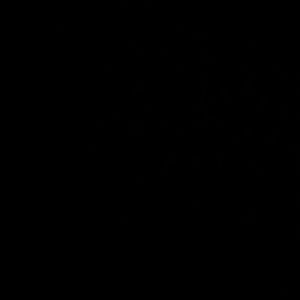 Meet your Posher, Stella